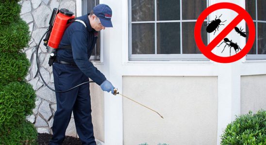 Zeytinburnu Böcek ve Haşere İlaçlama böcek ilaçlama ve haşere kontrolü — ilaclama-tr.com